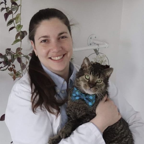 Dr. Alison Volturo, Westminster Veterinarian