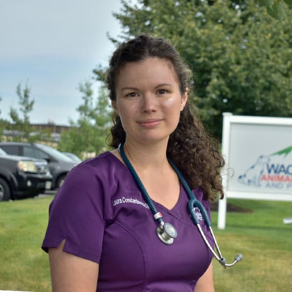 Dr. Laura Constantinescu, Westminster Veterinarian