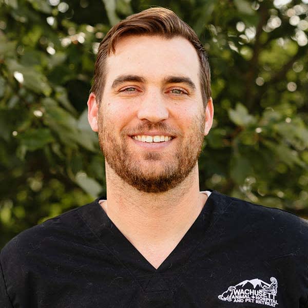 Dr. Nikolas Kokal, Westminster Veterinarian